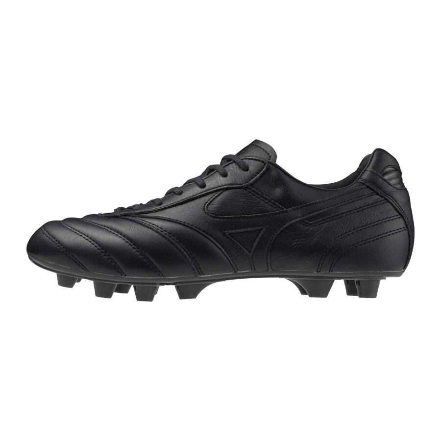 Morelia II Japan Ltd Sort